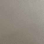 P21-0053-2