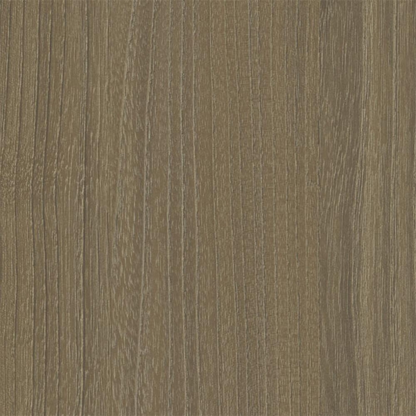 R19-1008-1