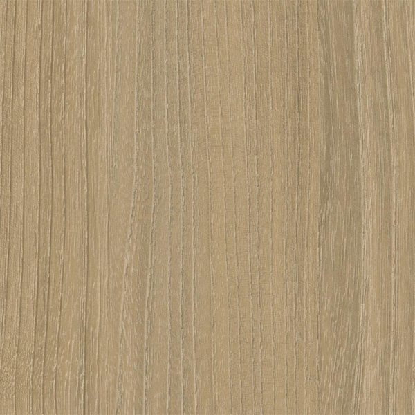 R19-1008-3